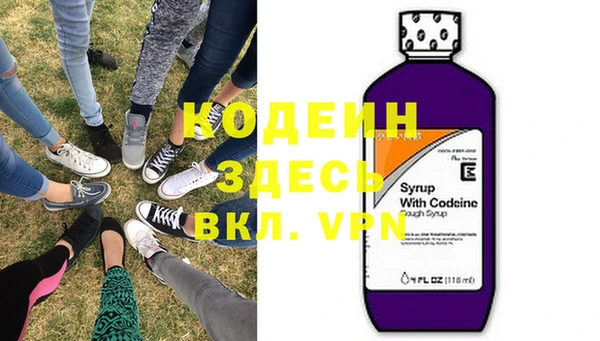 СК Снежногорск