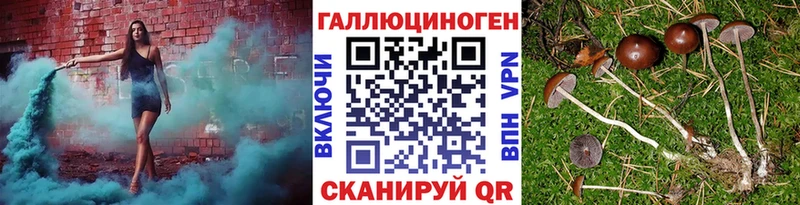 Галлюциногенные грибы мухоморы  магазин продажи   мега зеркало  Суздаль 
